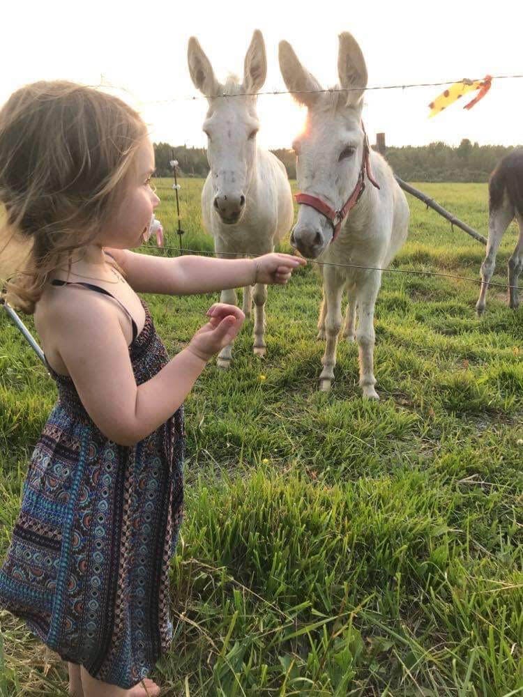 10 activités familiales originales à faire au Lac-Saint-Jean